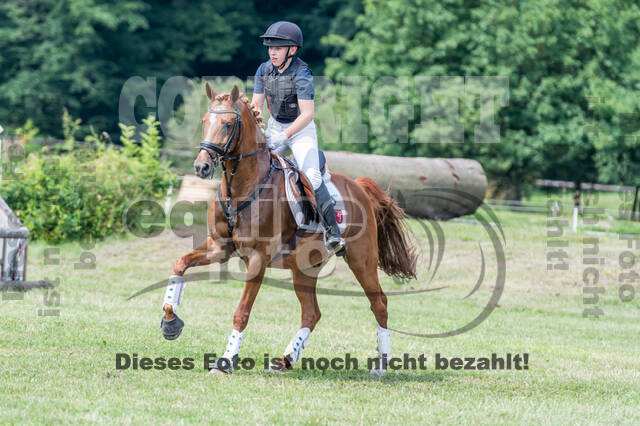 Goldene Schärpe 2021 - Ponys