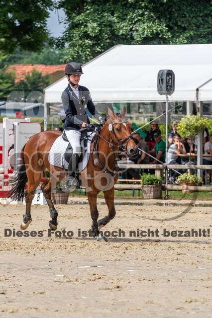 Goldene Schärpe 2021 - Ponys