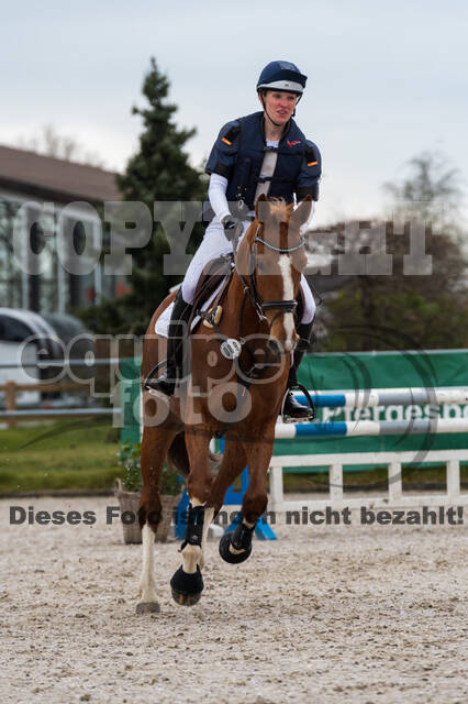 Eventing im Pferdesportzentrum Rheinland (Late Entry 14.03.2022)