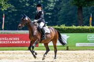 Goldene Schärpe 2021 - Ponys