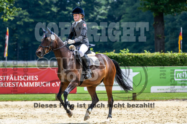 Goldene Schärpe 2021 - Ponys