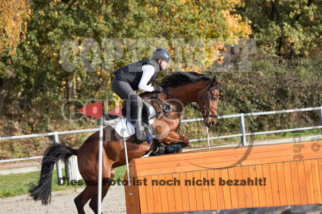 IGV Lehrgang der Sieger der Cups mit Frank Ostholt