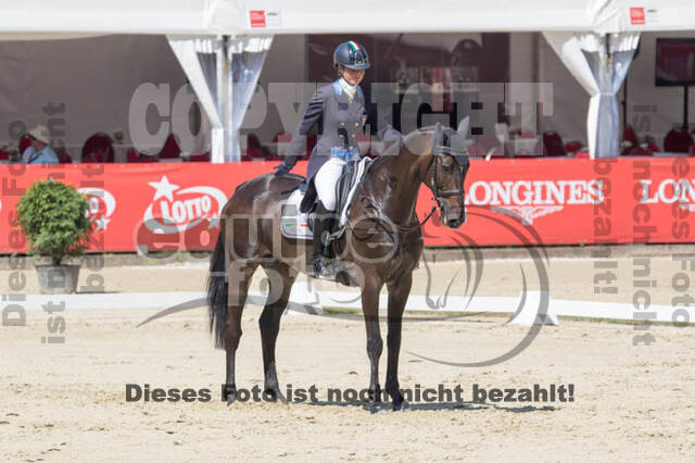 FEI European Championship