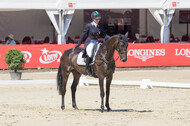 FEI European Championship