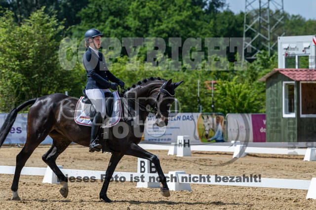 Westerstede Horse Trials 2021