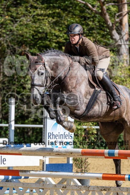 RFV Dinslaken-Hiesfeld (Herbstturnier)
