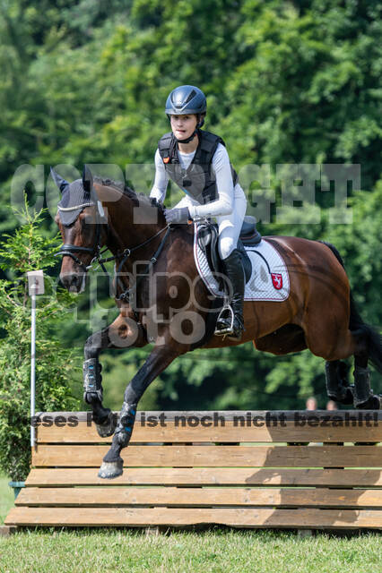 Goldene Schärpe 2021 - Ponys