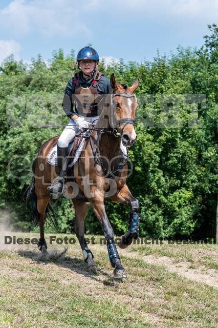 Goldene Schärpe 2021 - Ponys