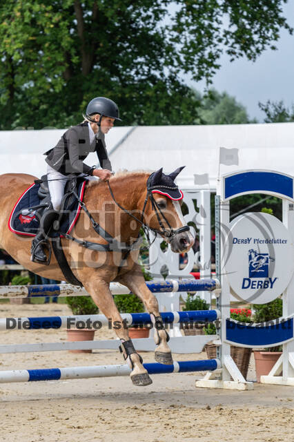 Goldene Schärpe 2021 - Ponys