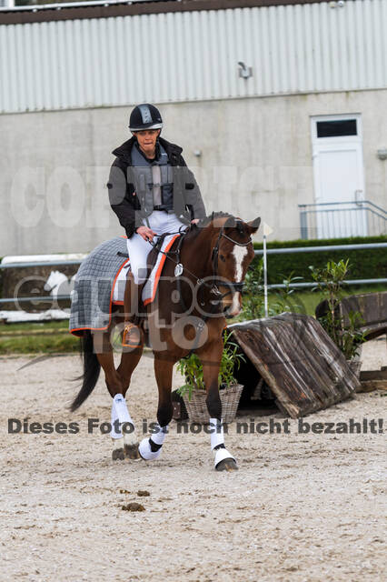 Eventing im Pferdesportzentrum Rheinland (Late Entry 14.03.2022)