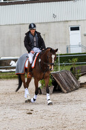 Eventing im Pferdesportzentrum Rheinland (Late Entry 14.03.2022)