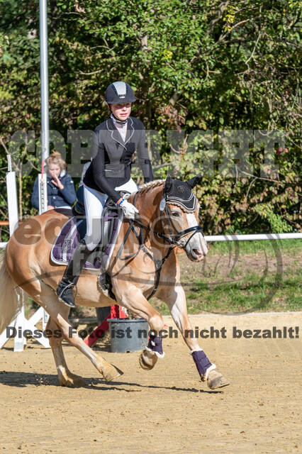 RFV Dinslaken-Hiesfeld (Herbstturnier)