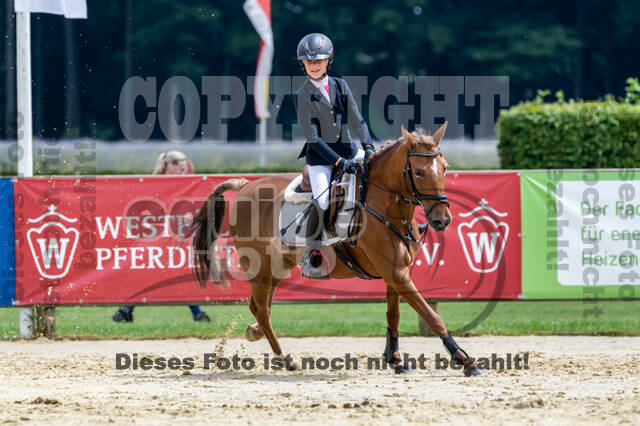 Goldene Schärpe 2021 - Ponys
