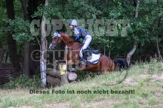 Late-Entry Vielseitigkeit Hamminkeln/Wesel (01.+02.08.2020)