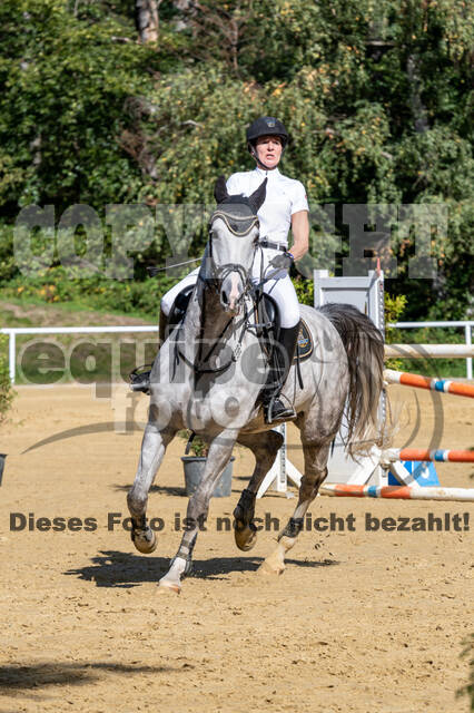 RFV Dinslaken-Hiesfeld (Herbstturnier)