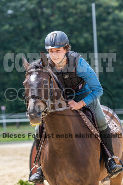 Hunter Geländetraining 10.07.2021 (Sonsbeck)