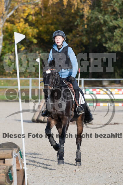 IGV Lehrgang der Sieger der Cups mit Frank Ostholt