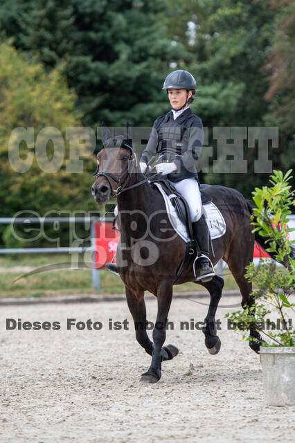 Landesturnier Rheinland, Vielseitigkeit, 22.+23.08.2020