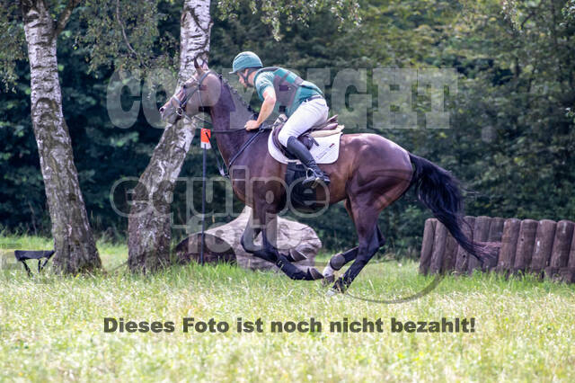 Late-Entry-Vielseitigkeit Gahlen (18.07.2020)