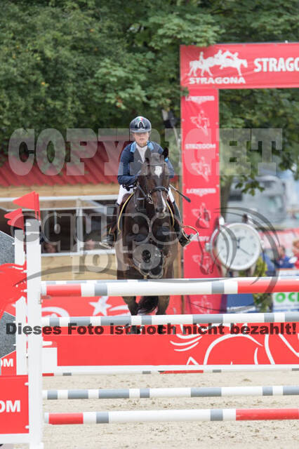 FEI European Championship