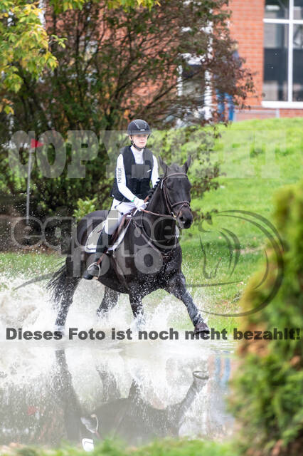 Goldene Schärpe 2020 - Pferde