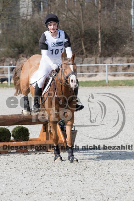 Eventing Langenfeld 2018
