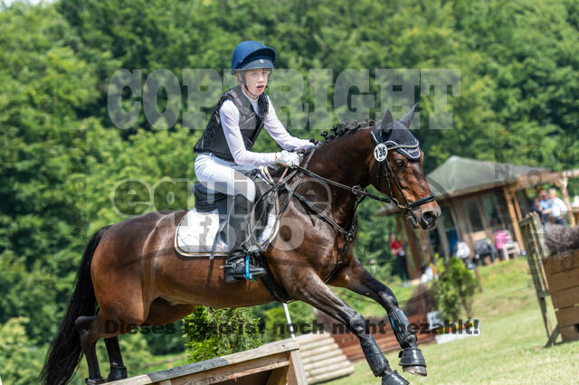 Goldene Schärpe 2021 - Ponys