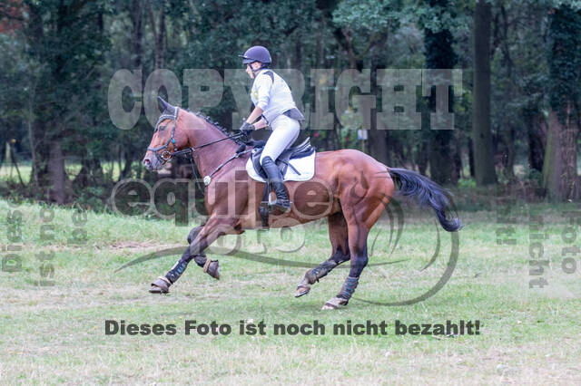 Late-Entry Vielseitigkeit Hamminkeln/Wesel (01.+02.08.2020)