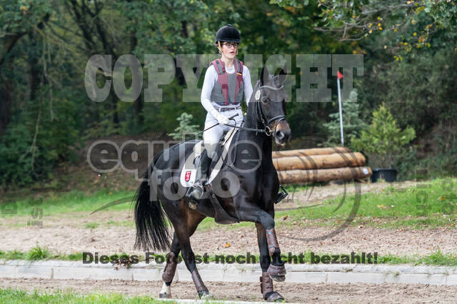 Goldene Schärpe 2020 - Pferde