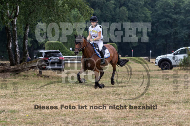 Late-Entry Vielseitigkeit Hamminkeln/Wesel (01.+02.08.2020)