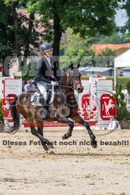 Goldene Schärpe 2021 - Ponys