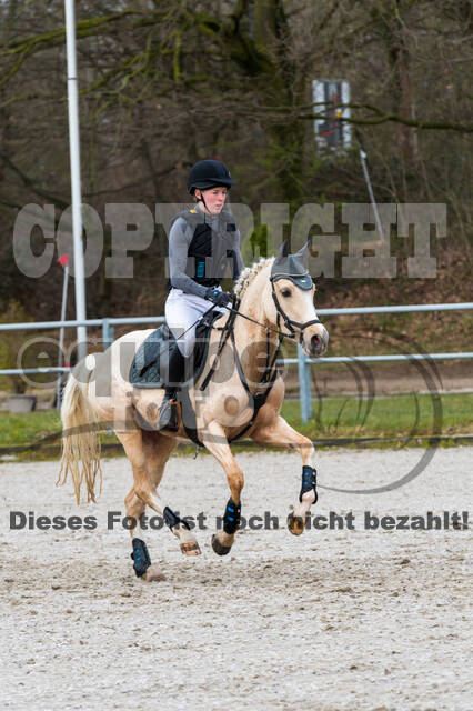 Eventing im Pferdesportzentrum Rheinland (Late Entry 14.03.2022)