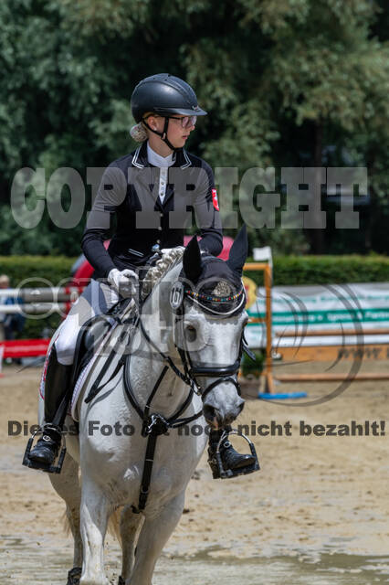 Goldene Schärpe 2021 - Ponys