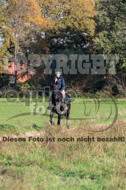 Vielseitigkeitslehrgang mit Jürg Kurbel (9.+10.11.2019)