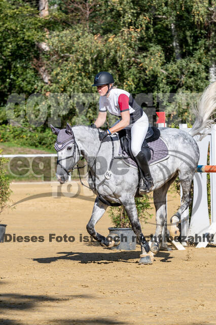 RFV Dinslaken-Hiesfeld (Herbstturnier)