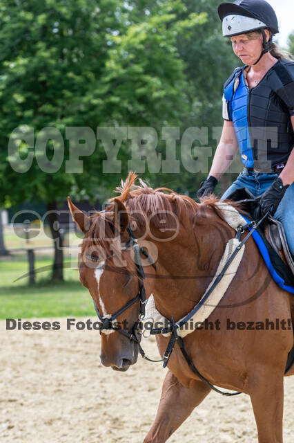Hunter Geländetraining 10.07.2021 (Sonsbeck)