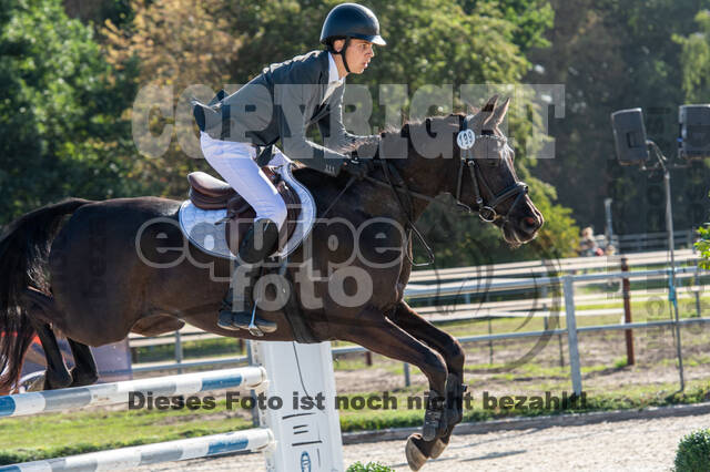 Landesturnier Rheinland, Vielseitigkeit, 22.+23.08.2020