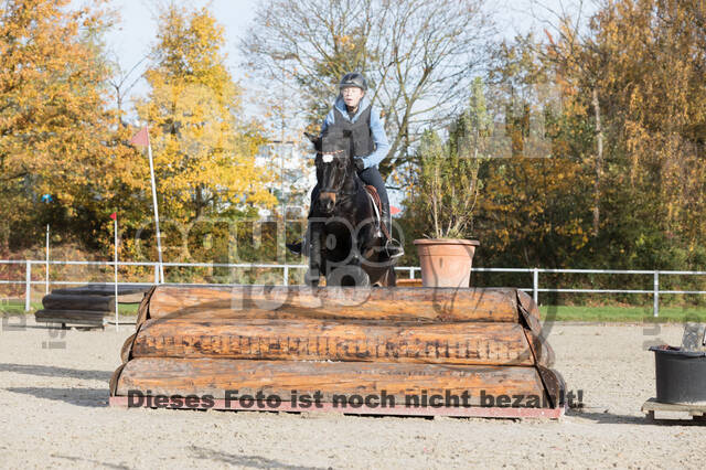 IGV Lehrgang der Sieger der Cups mit Frank Ostholt