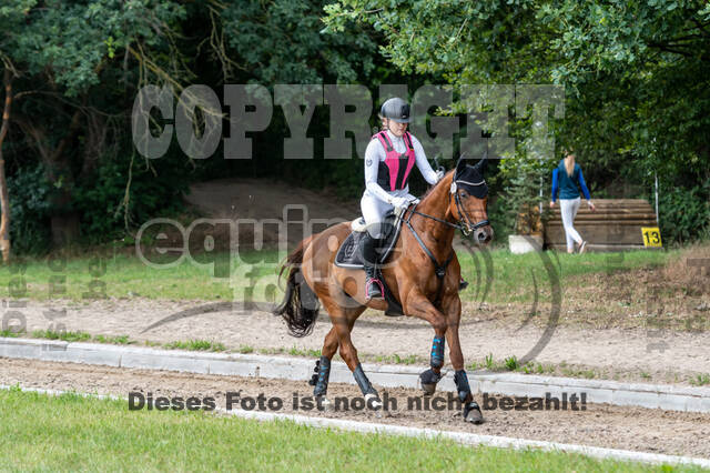 Late-Entry-Vielseitigkeit Langenfeld (11.+13./14.06.2020)
