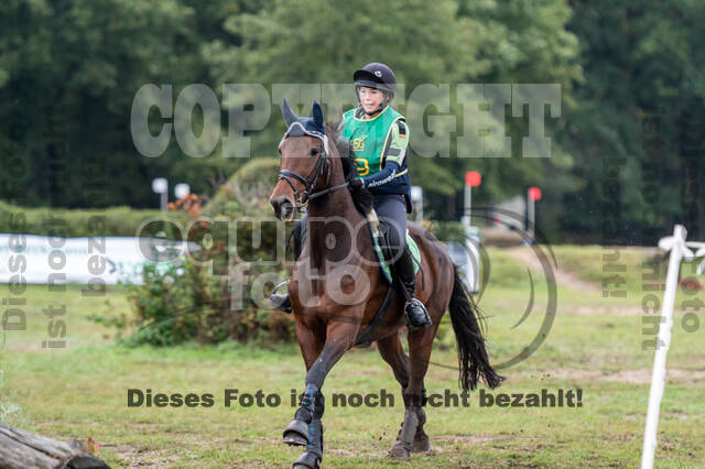 Vielseitigkeit RSV Wesel Obrighoven (26.+27.09.2020)