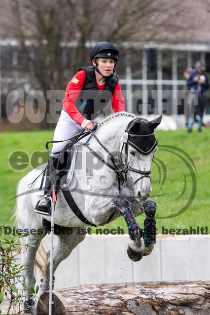 Goldene Schärpe 2020 - Pferde