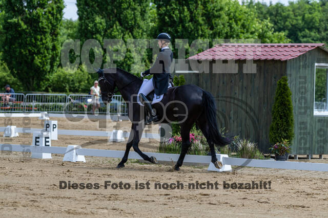 Westerstede Horse Trials 2021