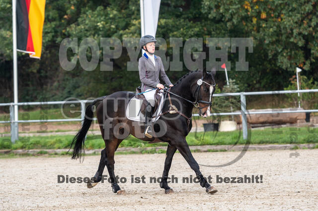 Goldene Schärpe 2020 - Pferde