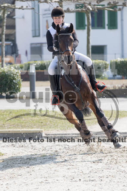 Eventing Langenfeld