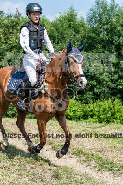 Goldene Schärpe 2021 - Ponys