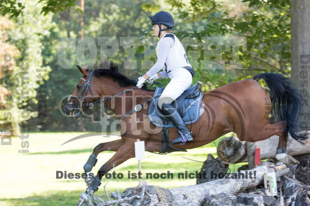 Vielseitigkeitsturnier RSV St. Hubertus Wesel Obrighoven