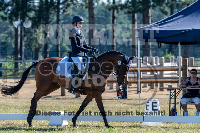 Kronenberg - De Peelbergen (August 2020)