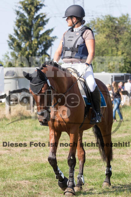 Vielseitigkeitsturnier RSV St. Hubertus Wesel Obrighoven