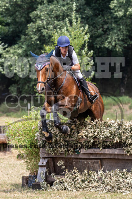 Late-Entry Vielseitigkeit Hamminkeln/Wesel (01.+02.08.2020)