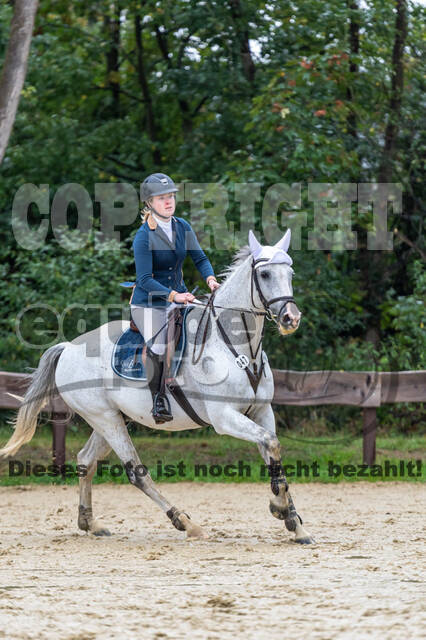 Vielseitigkeit RSV Wesel Obrighoven (26.+27.09.2020)